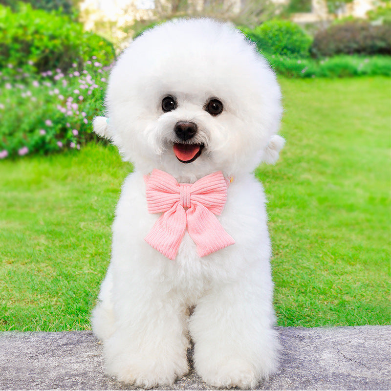 Pet Outdoor Harness And Leash Set