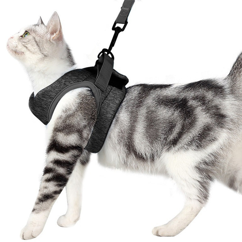 Breathable Lightweight Pet Lace Leash Chest Strap