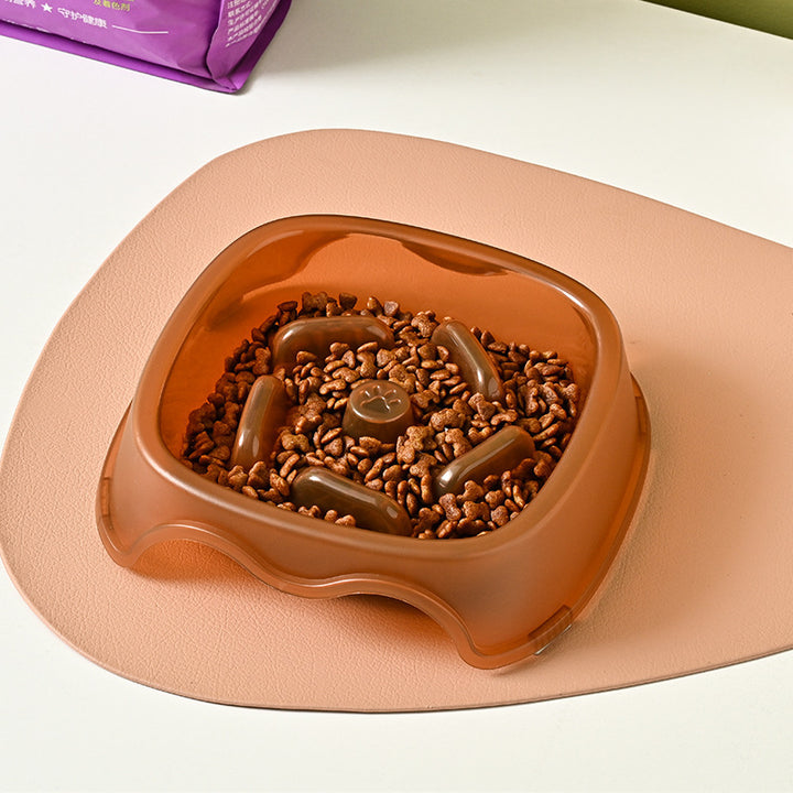 Pet Anti Choking Slow Feeding Water Bowl Dish