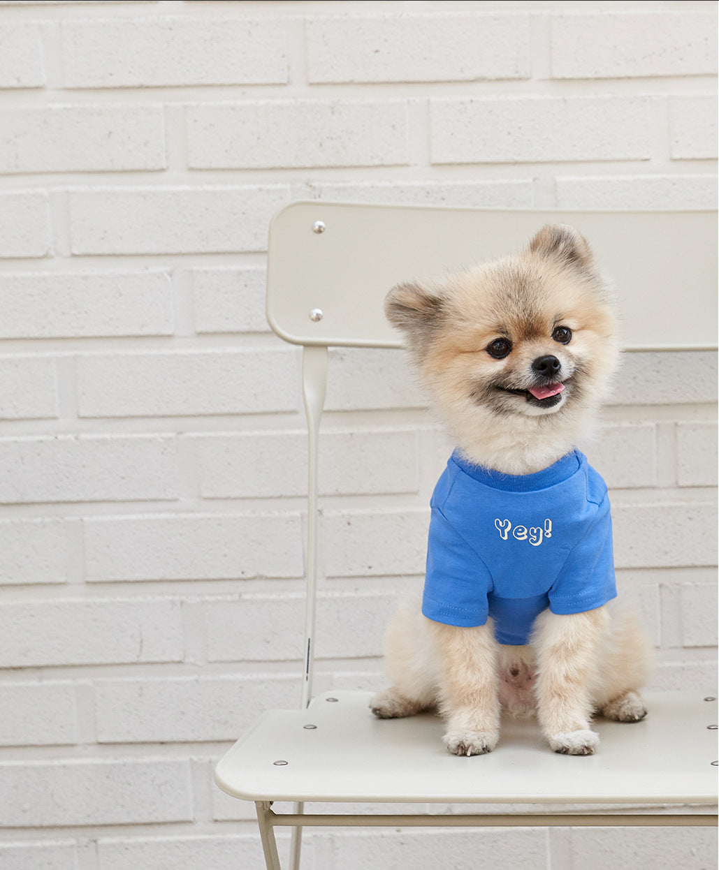 Korean Style Cotton Short Sleeve Pet T Shirt Refreshing Print