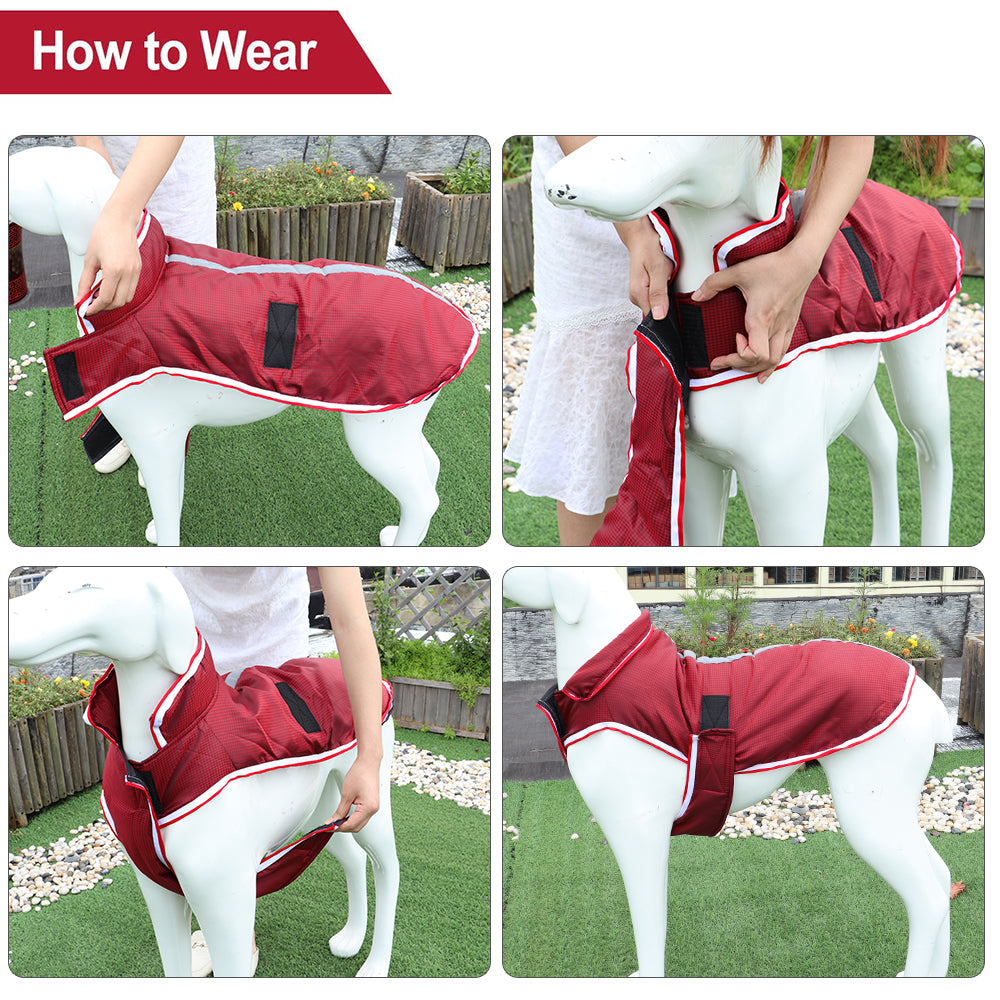 Warm Waterproof Pet Jacket For Autumn And Winter Leisure Wear