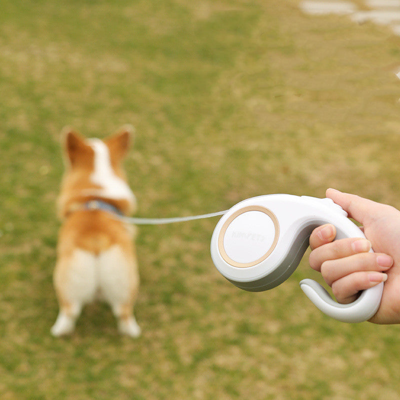 Pet Automatic Retractable Walking Leash Lead Strap