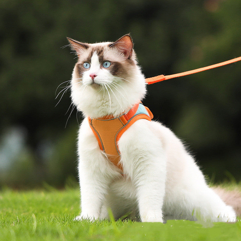 Fashion Pet Leash Anti Escape Secure Walking Lead