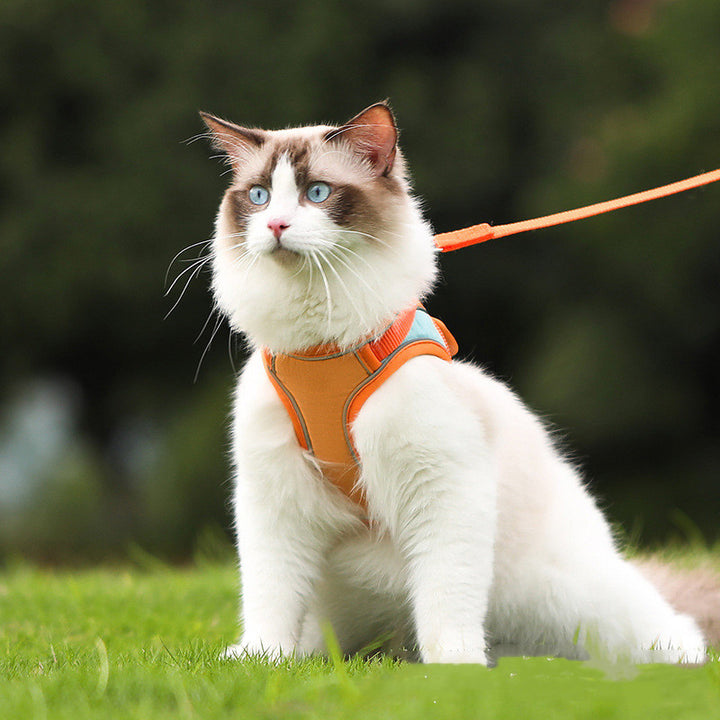 Fashion Pet Leash Anti Escape Secure Walking Lead