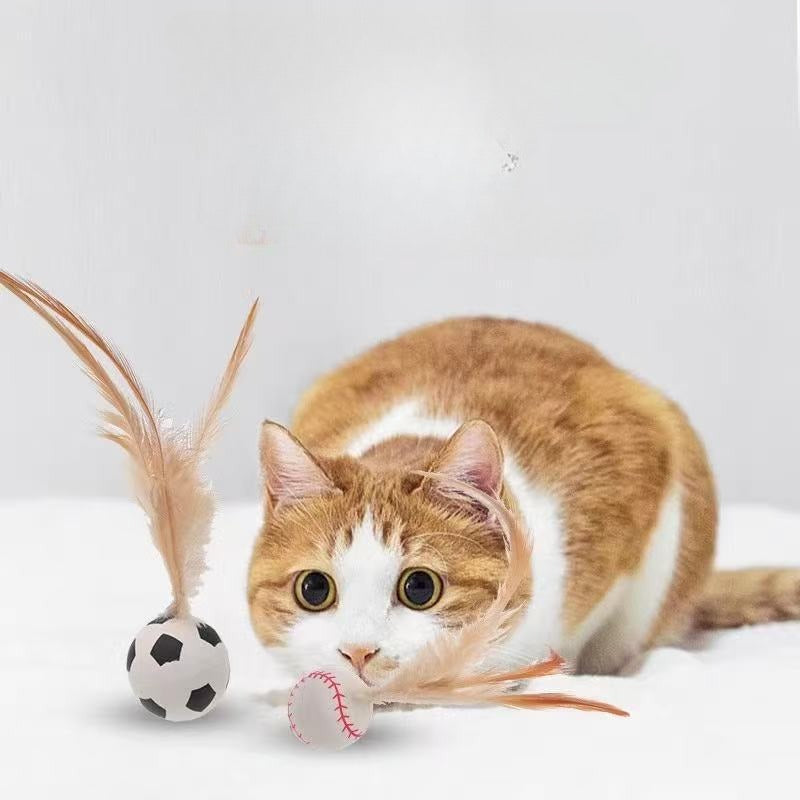 Interactive Pet Toy Balls With Feather Bouncy Design
