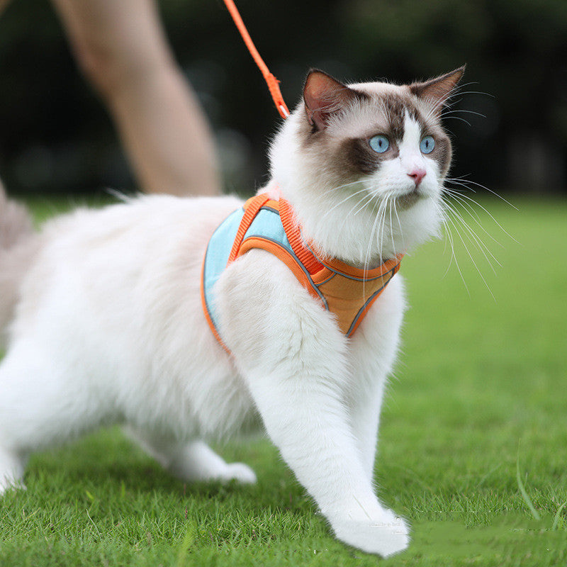 Fashion Pet Leash Anti Escape Secure Walking Lead