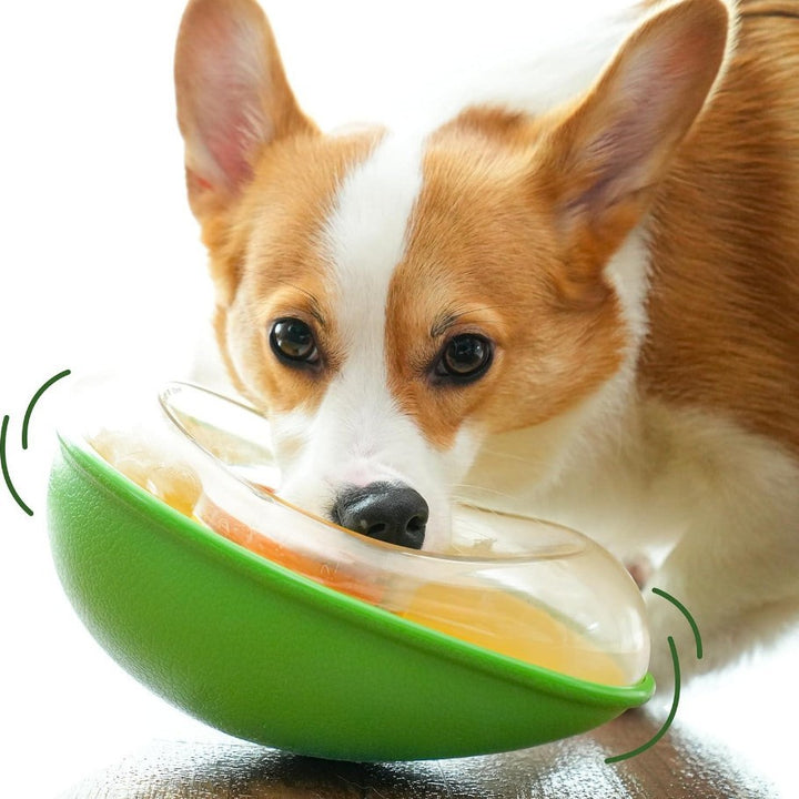 Pet Anti-Tumble Avocado Feeding Bowl