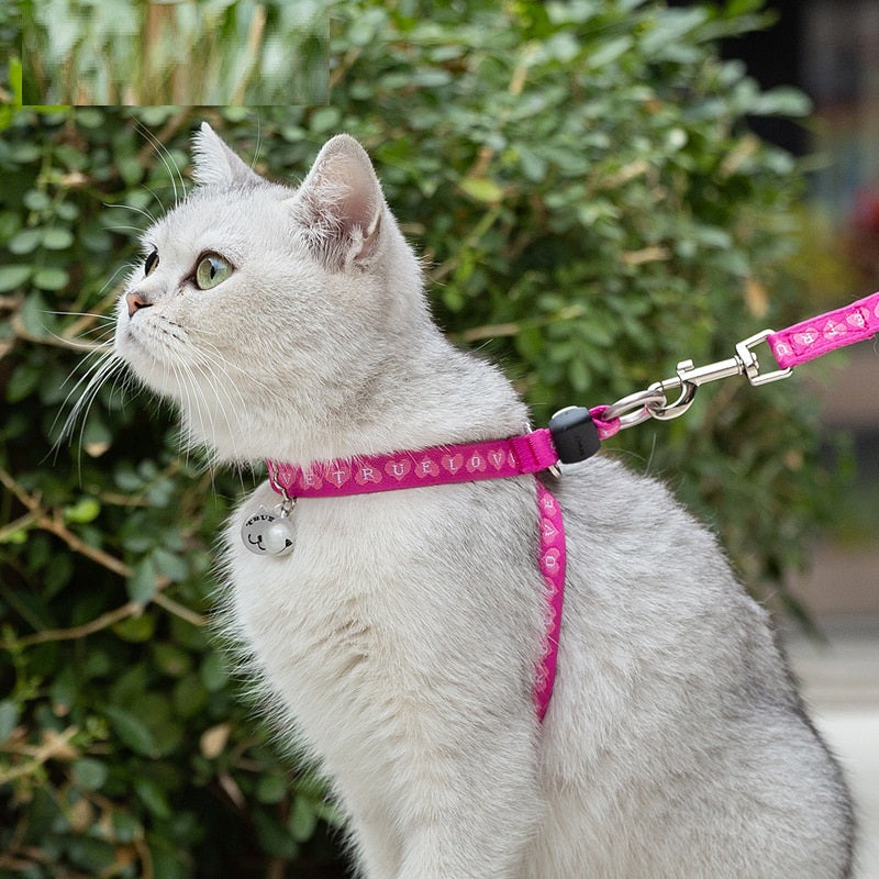 Pet Chest Strap Vest With Bell Leash Package For Small Pets